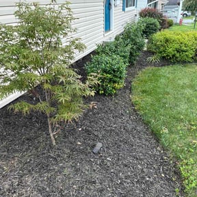 Flower Bed Weeding by Paschal Lawn Service reviewed on August 15, 2026