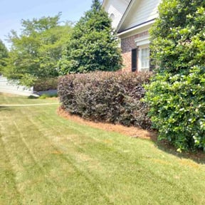 Bush Trimming by Land Elements inc reviewed on August 16, 2025
