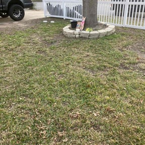 Leaf Removal by  reviewed on January 13, 2026