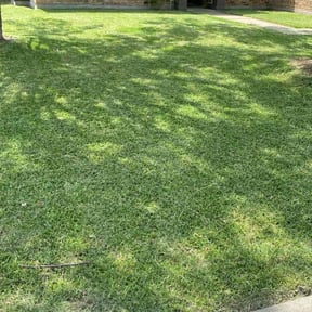 residential landscaping by Sinaí Tree and Lawn Care Experts reviewed on November 23, 2025