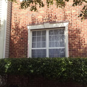 Bush Trimming by D’s Lawn Care reviewed on August 16, 2025