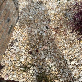 Flower Bed Weeding by H&amp;H Home Services reviewed on November 8, 2025