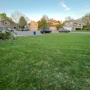 yard work by CnA Lawn and landscape reviewed on August 15, 2025