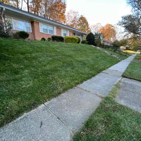 Leaf Removal by Arising Lawn Care LLC reviewed on September 20, 2025