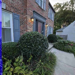 Bush Trimming by Veterans lawn services reviewed on August 18, 2025