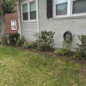 Bush Trimming by GP Services reviewed on April 13, 2026