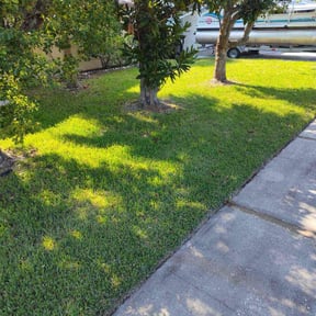 landscape maintenance by BSM & Co. Landscaping reviewed on August 21, 2025