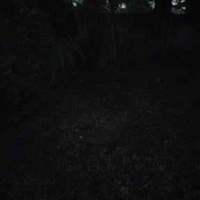 Leaf Removal by Soughtafter gc reviewed on September 27, 2025