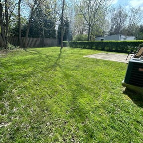 lawn service by USA Lawncare Inc reviewed on May 19, 2024