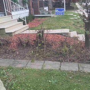 Bush Trimming by E Mow Lawn Care LLC reviewed on November 24, 2025