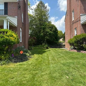 turf maintenance by KCT Landscaping  reviewed on August 7, 2024