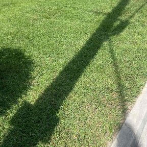 grass maintenance by Ramirez Hernandez Landscape reviewed on April 1, 2024