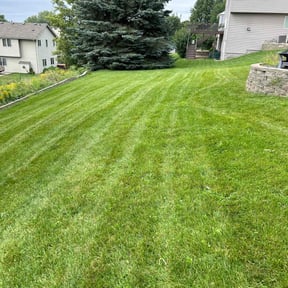 landscaping services by Tim King reviewed on November 22, 2025