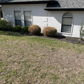 Bush Trimming by Saving Grace Services Dba reviewed on August 18, 2025