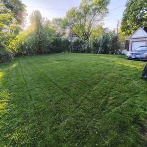 lawn care services by The Green Op reviewed on August 19, 2025