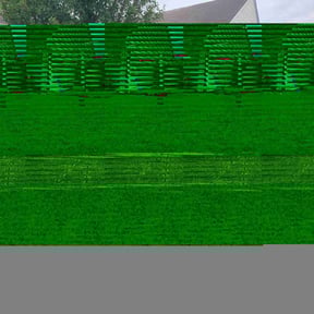yard care by Chris Slone Lawn Love reviewed on August 21, 2025