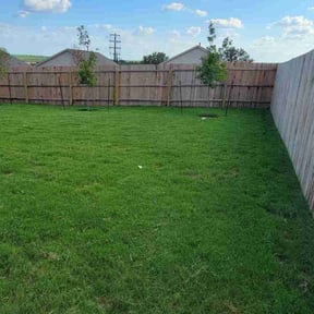 landscape maintenance by Rjm reviewed on August 15, 2025