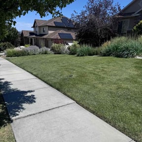 yard service by New leaf Landscaping reviewed on August 20, 2025