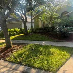 grass maintenance by Clean cut lawn care reviewed on March 31, 2020