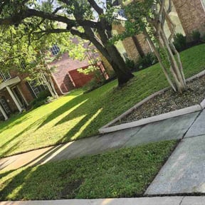 lawn care by Brian Braby reviewed on December 6, 2023