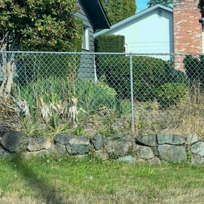 Bush Trimming by Olivares Gardening reviewed on August 14, 2025