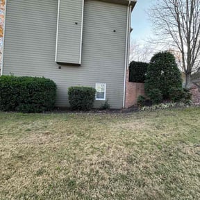 Bush Trimming by TJ’s lawn care reviewed on August 21, 2025