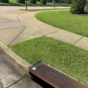 lawn service by Lighthouse lawncare reviewed on July 25, 2025