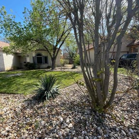 grass maintenance by K&K landscape services inc. reviewed on March 19, 2025