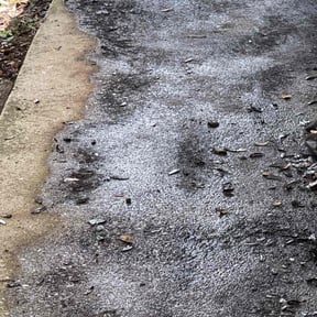 Leaf Removal by Empire lawn service reviewed on September 13, 2025