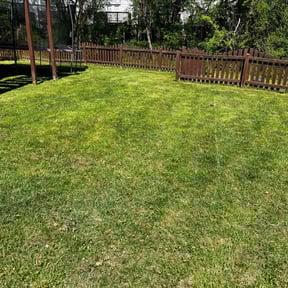 lawn maintenance by Crystal Hathaway reviewed on October 11, 2024