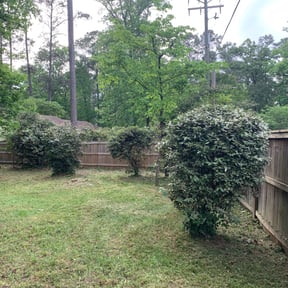 Bush Trimming by Texas Prime Landscaping reviewed on August 18, 2025