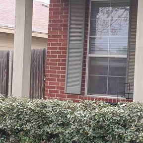 Bush Trimming by Cuts with Care Lawnservice reviewed on August 20, 2025