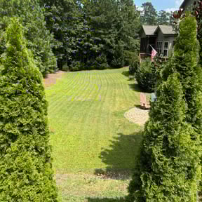 landscaping services by C.L.I.P.S reviewed on August 20, 2025