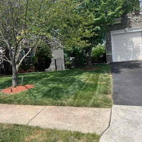 residential landscaping by Sb Landscaping reviewed on December 7, 2025