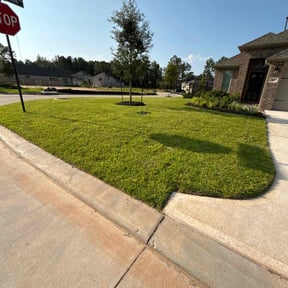 yard service by Pine Forest Lawn Care reviewed on August 19, 2025