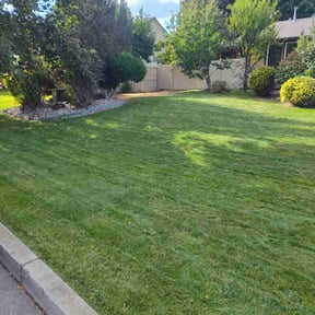 residential landscaping by Randy's lawncare reviewed on August 18, 2025
