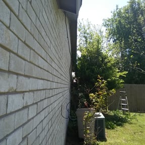 Bush Trimming by Mainline irrigation reviewed on August 19, 2025