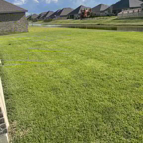 yard service by Maximum level lawn care reviewed on August 21, 2025