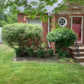 Bush Trimming by 4 The Seasons Landscaping and Lighting reviewed on August 19, 2025