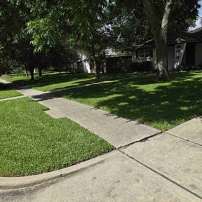 yard maintenance by Jack of all Trades Multiservices reviewed on August 15, 2025