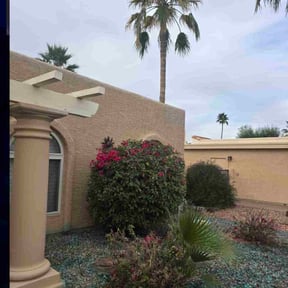 Bush Trimming by All your needs lawn care reviewed on January 3, 2026