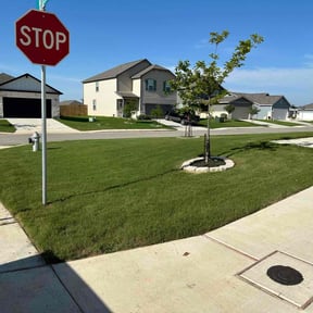 landscaping services by Land Elements inc reviewed on December 2, 2025