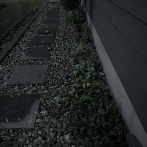 Bush Trimming by My Dad Can reviewed on November 4, 2025