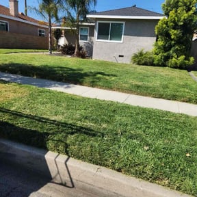 lawn care services by Brantnew4U Property Management LLC reviewed on June 3, 2024