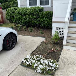 Flower Bed Weeding by AAA Lawn pro reviewed on August 20, 2025