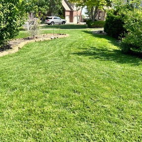 landscape maintenance by Pegasus Property Services reviewed on January 24, 2026