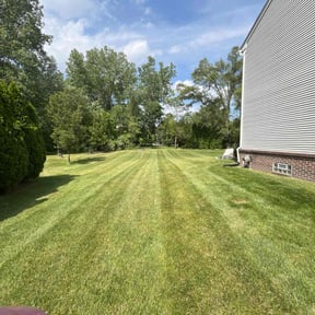 lawn care by Paint by Ponch reviewed on August 13, 2025