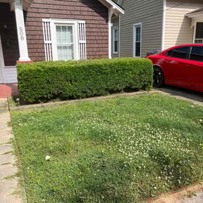 Bush Trimming by Yard shard LLC reviewed on August 18, 2025