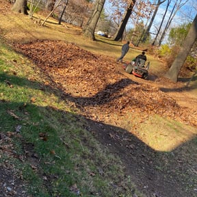 Leaf Removal by Zunigas Green Care LLC reviewed on August 17, 2025