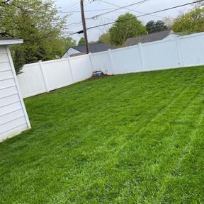 grass cutting by Use more services reviewed on November 30, 2023